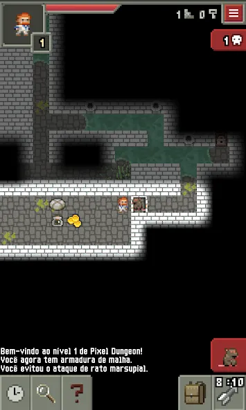 Pixel Dungeon ML (Пиксельное подземелье РУ)  [МОД Бесконечные деньги] Screenshot 5