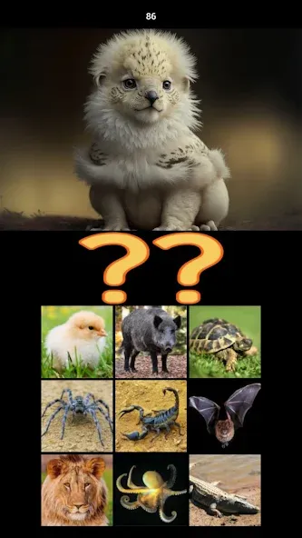 Hybrid Animals Crazy Lab Quiz (Хибридные животные Сумасшедшая лаборатория Викторина)  [МОД Бесконечные монеты] Screenshot 5