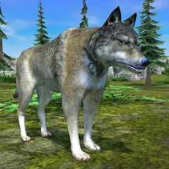 Скачать взломанную Wolf Simulator - Animal Games  [МОД Mega Pack] - последняя версия apk на Андроид