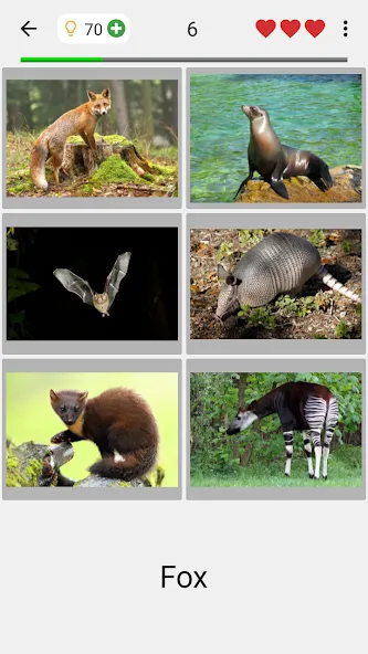 Animals Quiz Learn All Mammals  [МОД Mega Pack] Screenshot 2