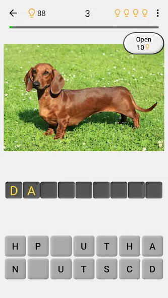 Dogs Quiz - Guess All Breeds!  [МОД Menu] Screenshot 2