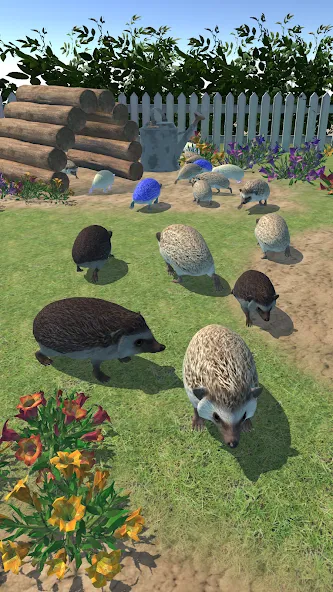 Hedgehog Friends (Хеджхог Френдс)  [МОД Бесконечные деньги] Screenshot 3