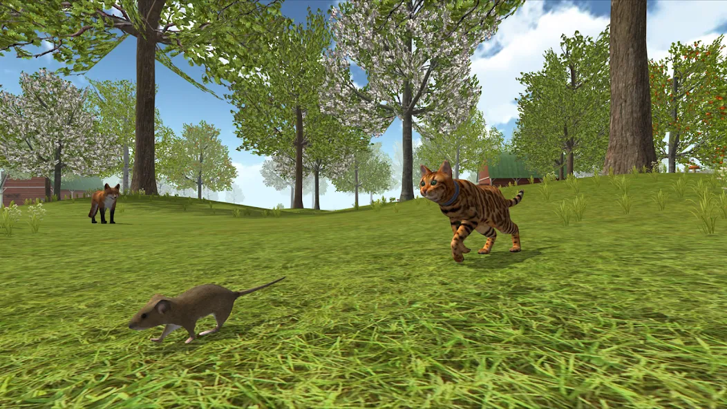 Cat Simulator : Kitties Family  [МОД Бесконечные деньги] Screenshot 4