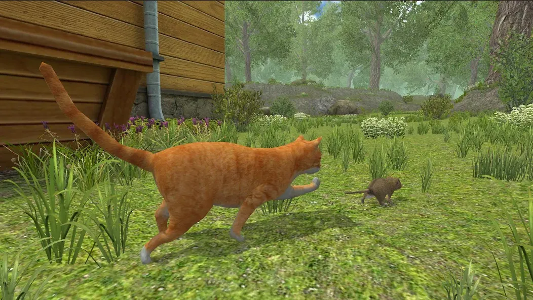 Mouse Simulator :  Forest Home  [МОД Бесконечные деньги] Screenshot 3