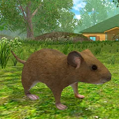 Скачать взломанную Mouse Simulator :  Forest Home  [МОД Бесконечные деньги] - стабильная версия apk на Андроид