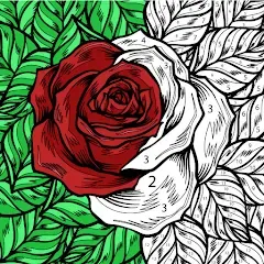 Взлом Color by Number: Coloring Book  [МОД Unlocked] - последняя версия apk на Андроид