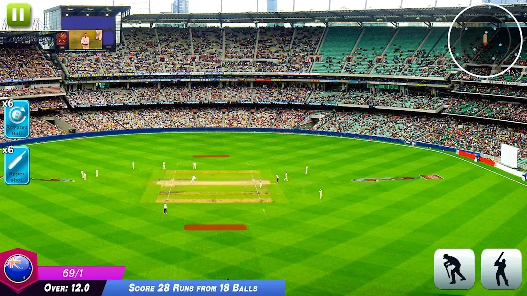 World Cricket Games Offline  [МОД Бесконечные деньги] Screenshot 3