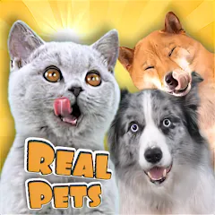 Скачать взлом Adopt a pet : Corgi Games (Риал Петс бай Фруви)  [МОД Бесконечные монеты] - стабильная версия apk на Андроид