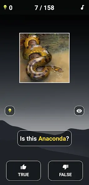 Animal Quiz: Guess the Animal  [МОД Unlocked] Screenshot 3