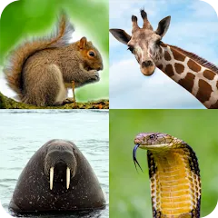 Взломанная Animal Quiz: Guess the Animal  [МОД Unlocked] - стабильная версия apk на Андроид