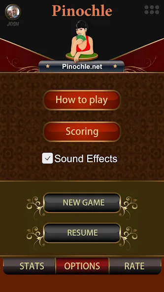 Pinochle.Net  [МОД Mega Pack] Screenshot 2