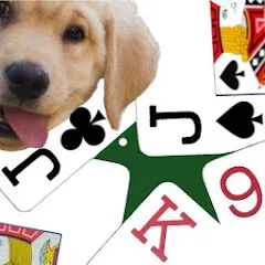 Скачать взлом K9 Euchre (К9 Юкер)  [МОД Бесконечные монеты] - полная версия apk на Андроид