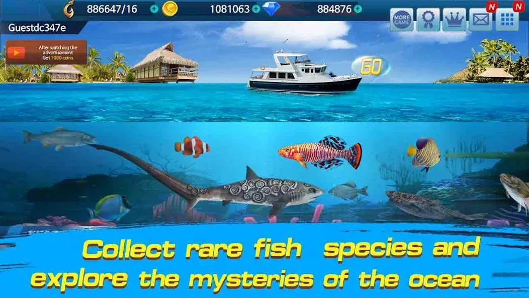 Fishing Championship  [МОД Unlocked] Screenshot 3