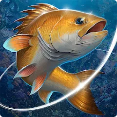 Взломанная Fishing Hook  [МОД Mega Pack] - полная версия apk на Андроид