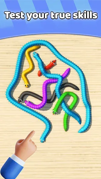 Tangled Snakes Puzzle Game (Танглед Снейк 3Д)  [МОД Много денег] Screenshot 4