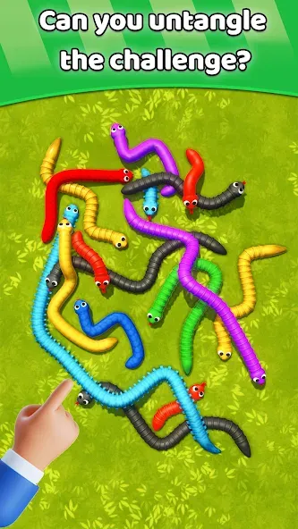 Tangled Snakes Puzzle Game (Танглед Снейк 3Д)  [МОД Много денег] Screenshot 5