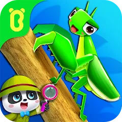 Скачать взлом Little Panda's Insect World  [МОД Много монет] - полная версия apk на Андроид