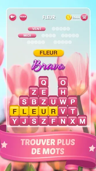 Mots Malins - Jeu de mots pro (Мо Малинс)  [МОД Mega Pack] Screenshot 3