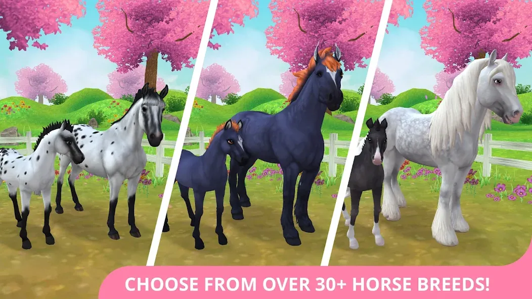 Star Stable Horses (СТар Стабл Хорсес)  [МОД Mega Pack] Screenshot 1