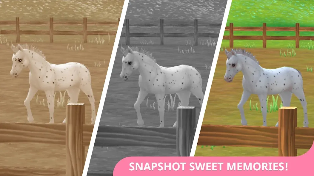 Star Stable Horses (СТар Стабл Хорсес)  [МОД Mega Pack] Screenshot 4