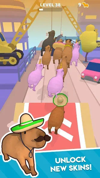 Capybara Rush (Капибара Раш)  [МОД Бесконечные монеты] Screenshot 3