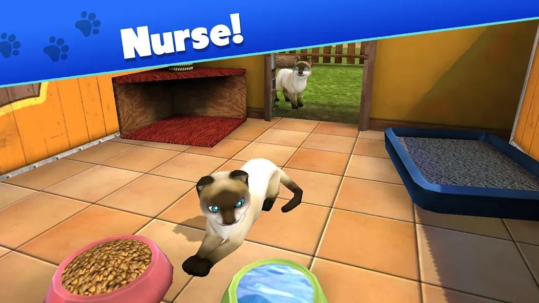 Pet World - My Animal Shelter (Пет Ворлд)  [МОД Все открыто] Screenshot 3