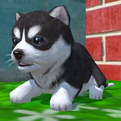 Скачать взлом Cute Pocket Puppy 3D (Сьют Покет Паппи 3Д)  [МОД Unlocked] - полная версия apk на Андроид