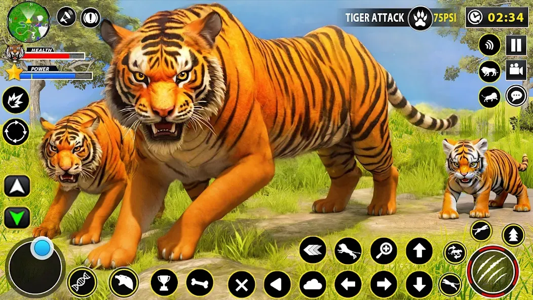 Tiger Simulator Lion games 3D (Тигровый Симулятор Игр Льва 3D)  [МОД Много денег] Screenshot 1