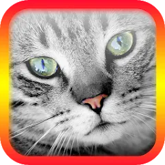 Скачать взломанную Translator for Cats Prank  [МОД Mega Pack] - полная версия apk на Андроид