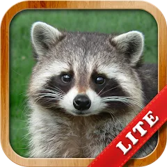 Взлом Animals for Kids  [МОД Mega Pack] - последняя версия apk на Андроид