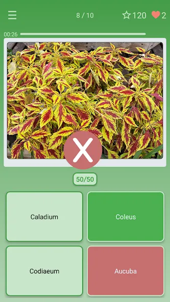 Quiz: Flowers, Plants  [МОД Unlocked] Screenshot 3